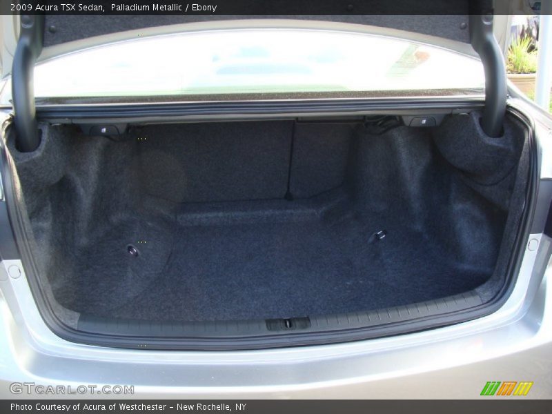 Palladium Metallic / Ebony 2009 Acura TSX Sedan