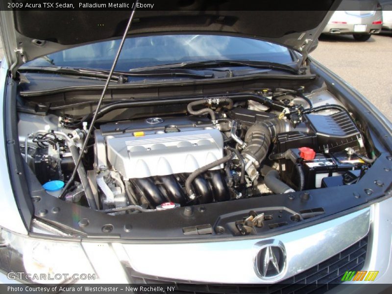 Palladium Metallic / Ebony 2009 Acura TSX Sedan