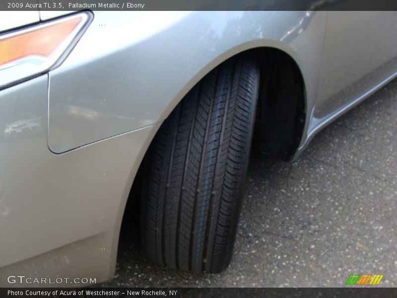Palladium Metallic / Ebony 2009 Acura TL 3.5