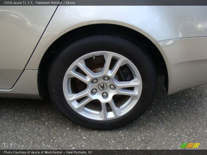 Palladium Metallic / Ebony 2009 Acura TL 3.5