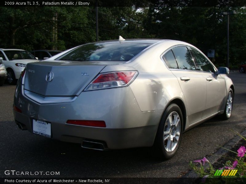 Palladium Metallic / Ebony 2009 Acura TL 3.5