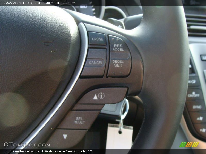 Palladium Metallic / Ebony 2009 Acura TL 3.5