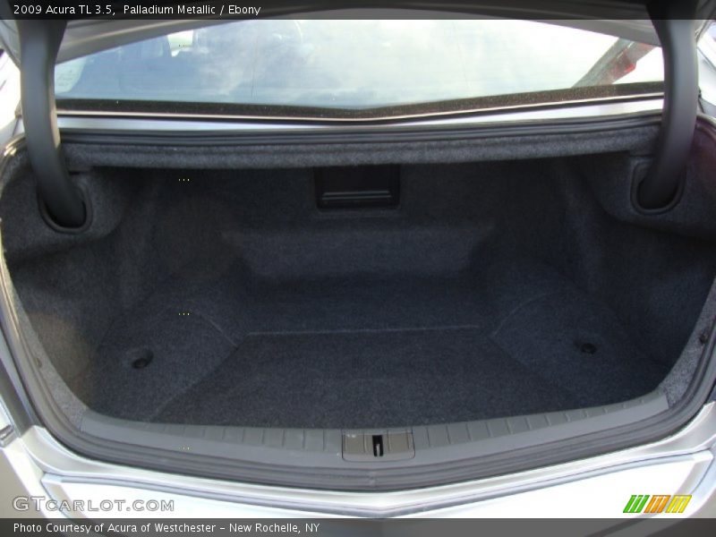 Palladium Metallic / Ebony 2009 Acura TL 3.5