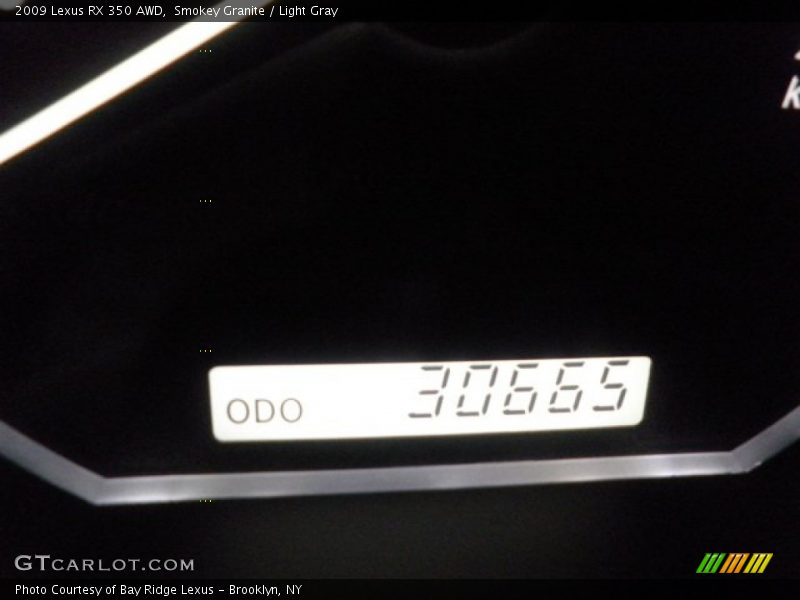 Smokey Granite / Light Gray 2009 Lexus RX 350 AWD