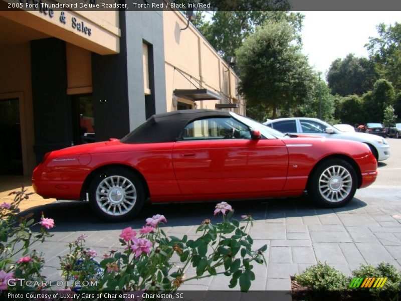 Torch Red / Black Ink/Red 2005 Ford Thunderbird Deluxe Roadster
