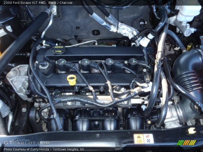 Black / Charcoal 2009 Ford Escape XLT 4WD
