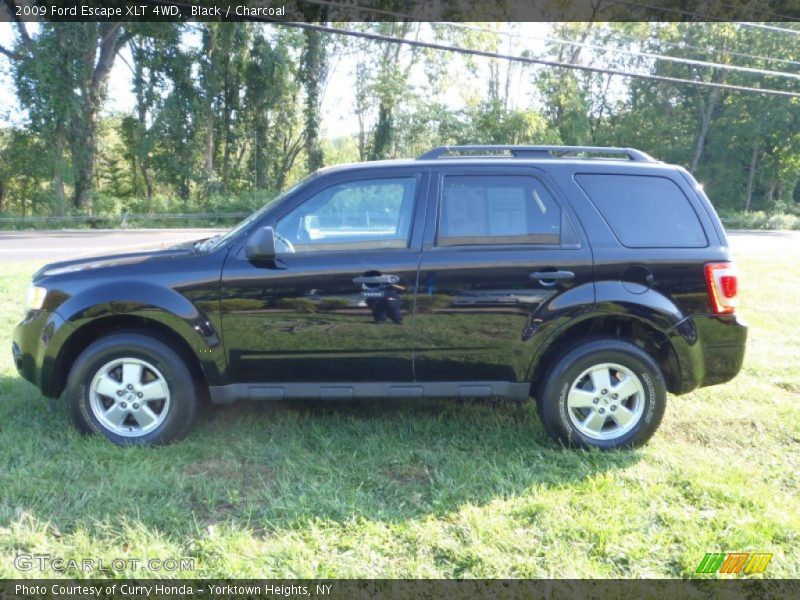 Black / Charcoal 2009 Ford Escape XLT 4WD