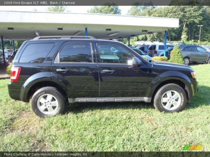 Black / Charcoal 2009 Ford Escape XLT 4WD