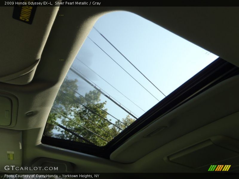 Silver Pearl Metallic / Gray 2009 Honda Odyssey EX-L