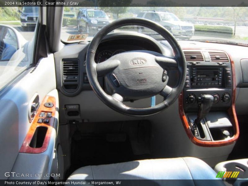 Clear White / Gray 2004 Kia Sedona EX