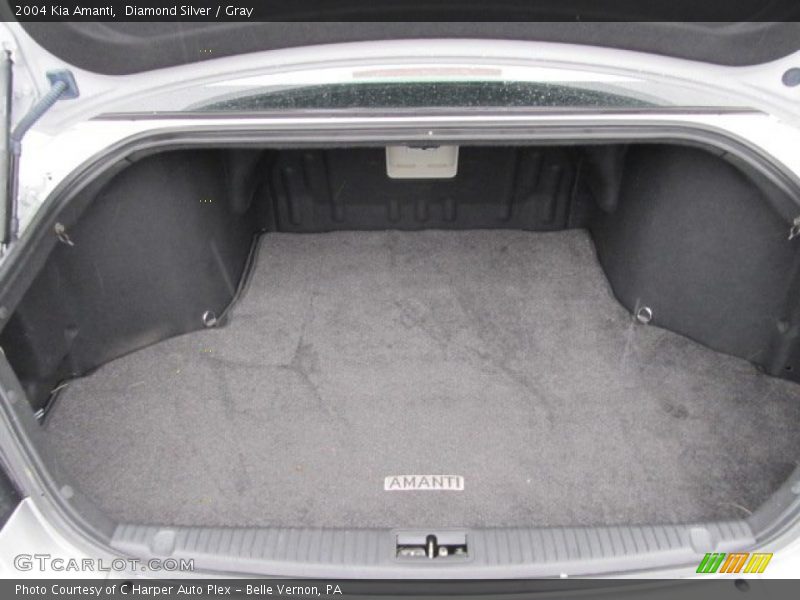 Diamond Silver / Gray 2004 Kia Amanti