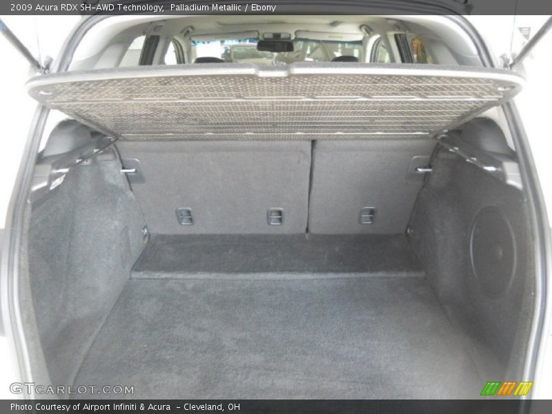 Palladium Metallic / Ebony 2009 Acura RDX SH-AWD Technology