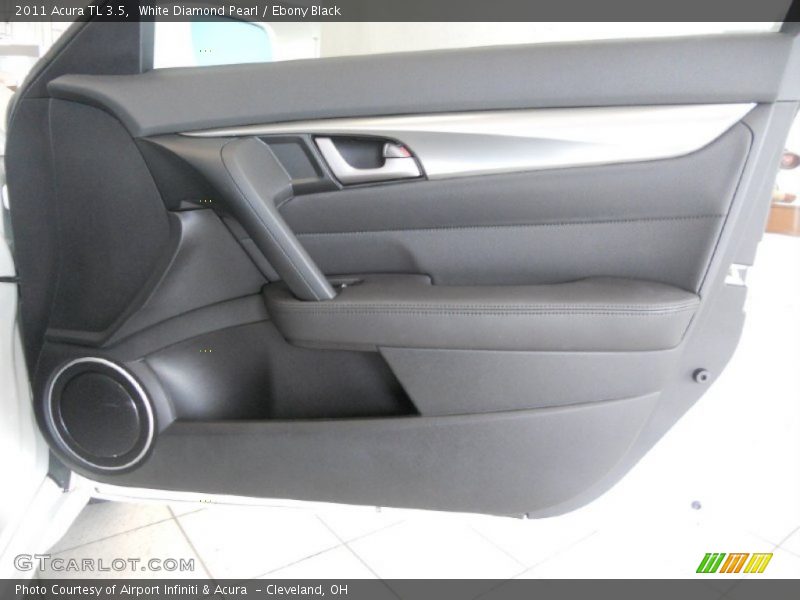 Door Panel of 2011 TL 3.5