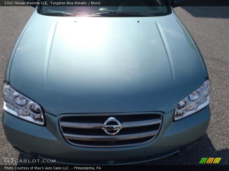 Tungsten Blue Metallic / Blond 2002 Nissan Maxima GLE