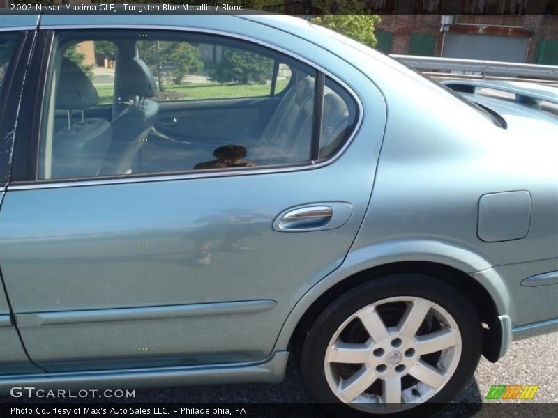 Tungsten Blue Metallic / Blond 2002 Nissan Maxima GLE