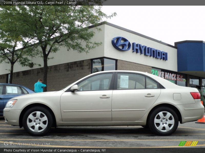 Camel Pearl / Camel 2009 Hyundai Sonata GLS