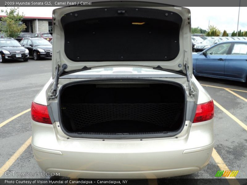 Camel Pearl / Camel 2009 Hyundai Sonata GLS