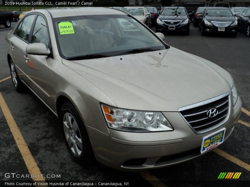 Camel Pearl / Camel 2009 Hyundai Sonata GLS