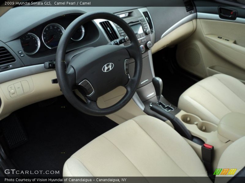 Camel Pearl / Camel 2009 Hyundai Sonata GLS