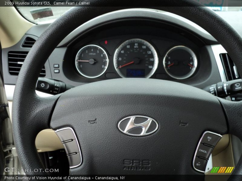 Camel Pearl / Camel 2009 Hyundai Sonata GLS