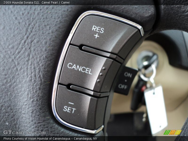 Camel Pearl / Camel 2009 Hyundai Sonata GLS