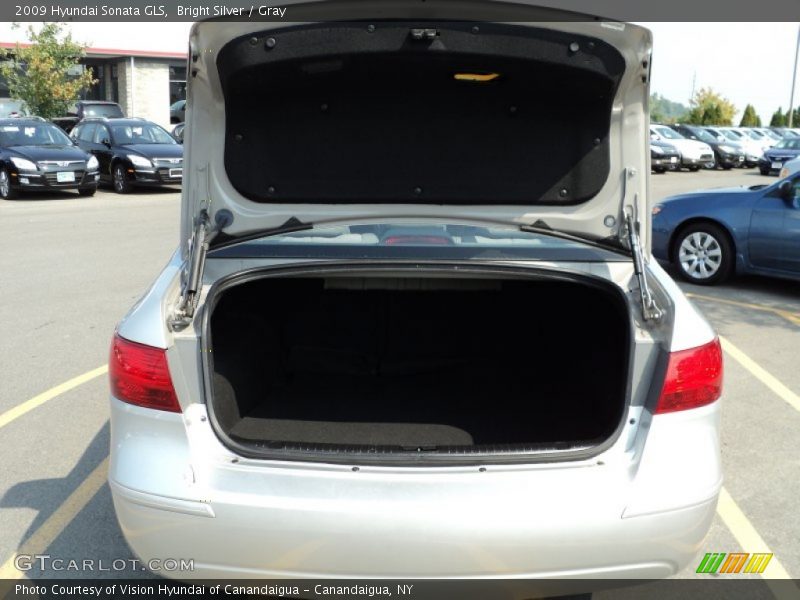 Bright Silver / Gray 2009 Hyundai Sonata GLS