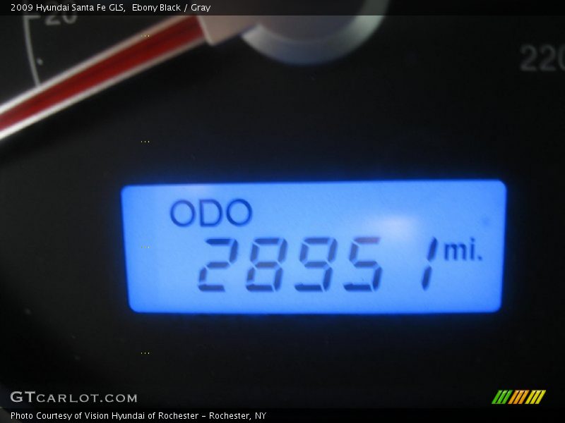 Ebony Black / Gray 2009 Hyundai Santa Fe GLS