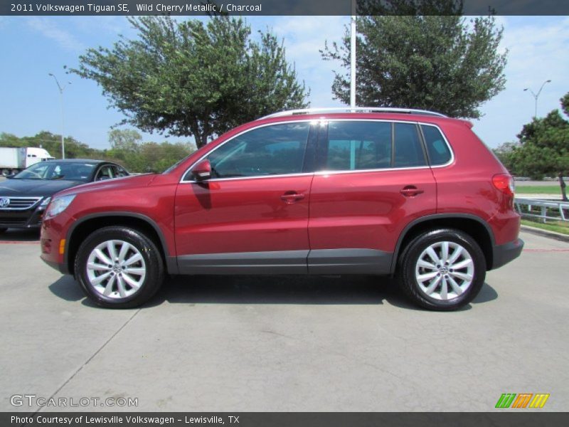 Wild Cherry Metallic / Charcoal 2011 Volkswagen Tiguan SE