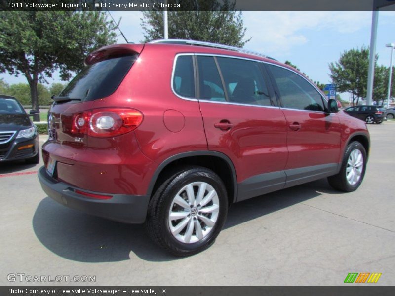 Wild Cherry Metallic / Charcoal 2011 Volkswagen Tiguan SE