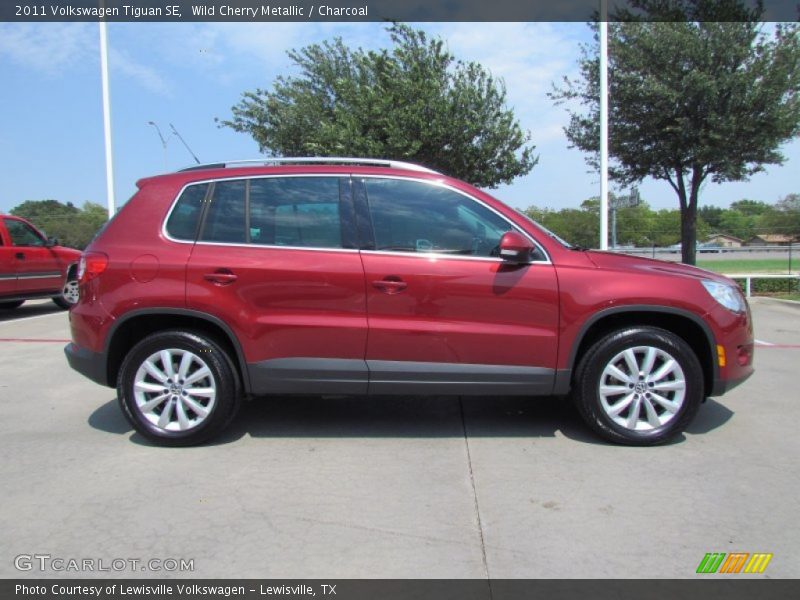 Wild Cherry Metallic / Charcoal 2011 Volkswagen Tiguan SE