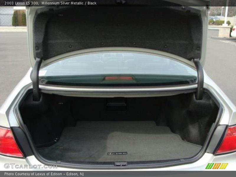 Millennium Silver Metallic / Black 2003 Lexus ES 300