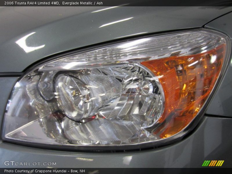 Everglade Metallic / Ash 2006 Toyota RAV4 Limited 4WD