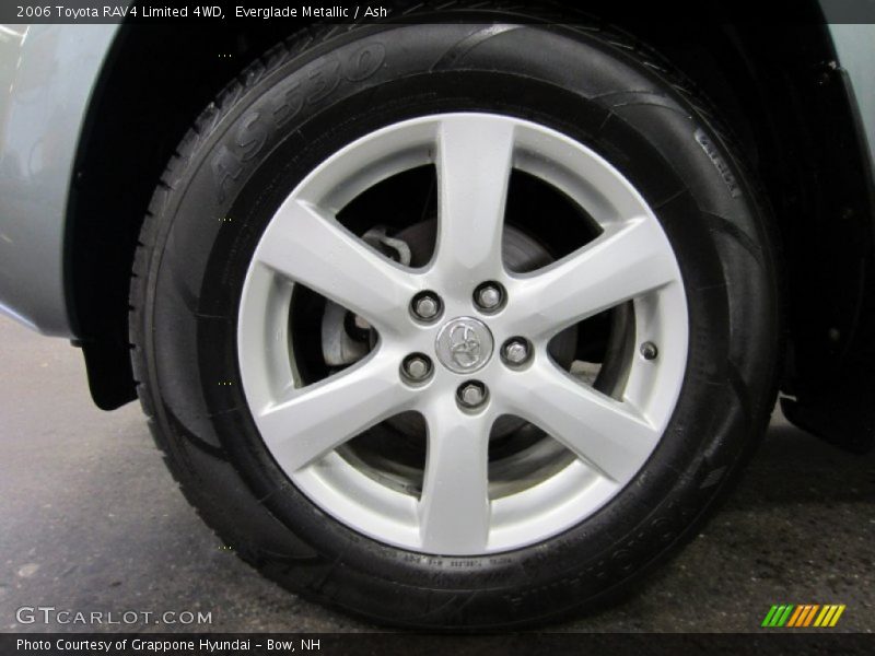 Everglade Metallic / Ash 2006 Toyota RAV4 Limited 4WD