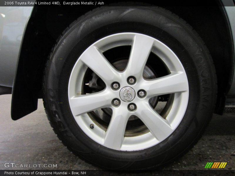 Everglade Metallic / Ash 2006 Toyota RAV4 Limited 4WD