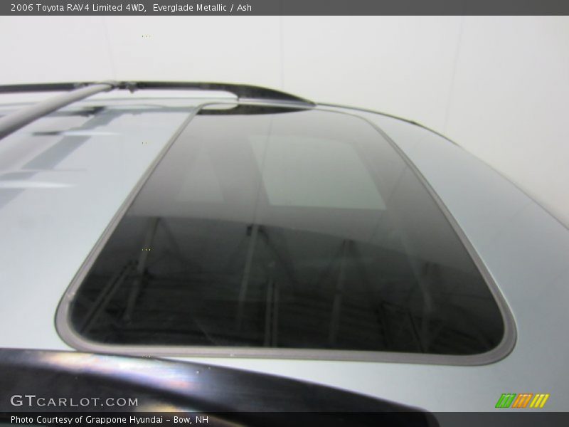 Everglade Metallic / Ash 2006 Toyota RAV4 Limited 4WD