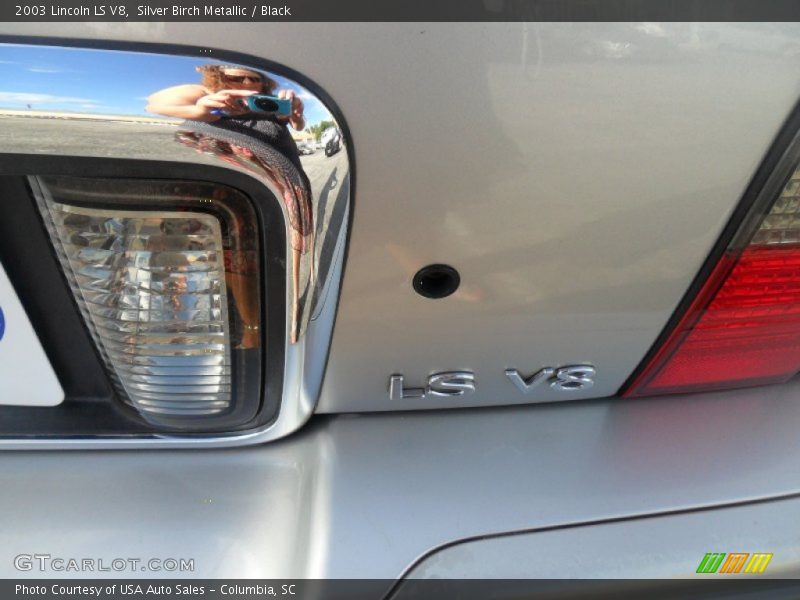 Silver Birch Metallic / Black 2003 Lincoln LS V8