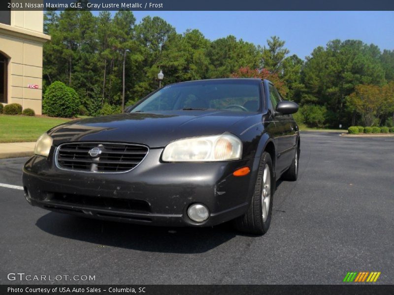 Gray Lustre Metallic / Frost 2001 Nissan Maxima GLE