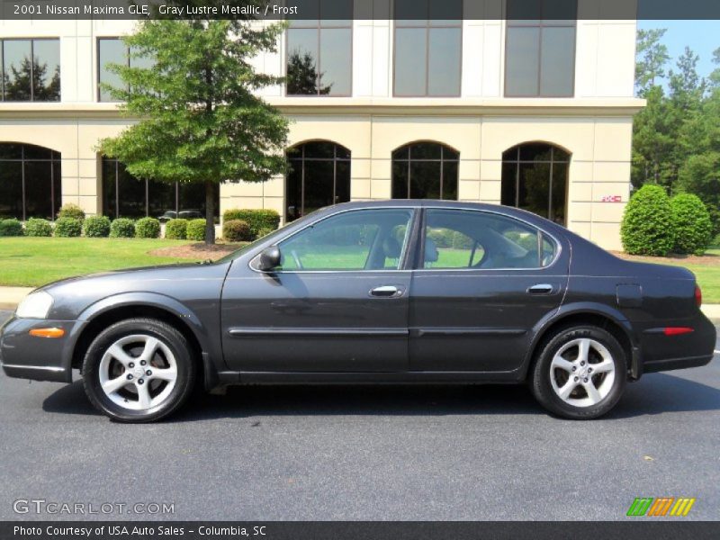 Gray Lustre Metallic / Frost 2001 Nissan Maxima GLE
