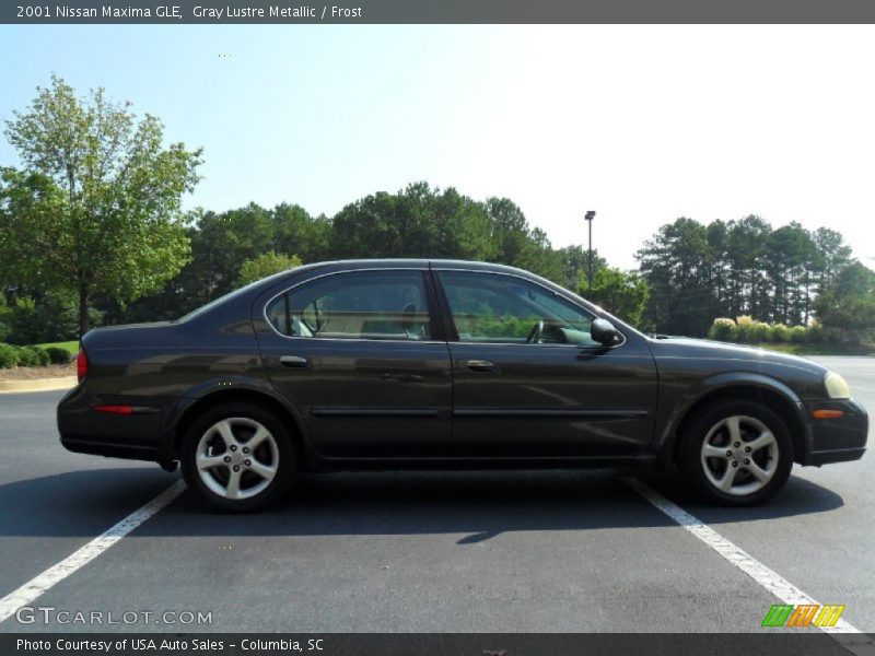Gray Lustre Metallic / Frost 2001 Nissan Maxima GLE