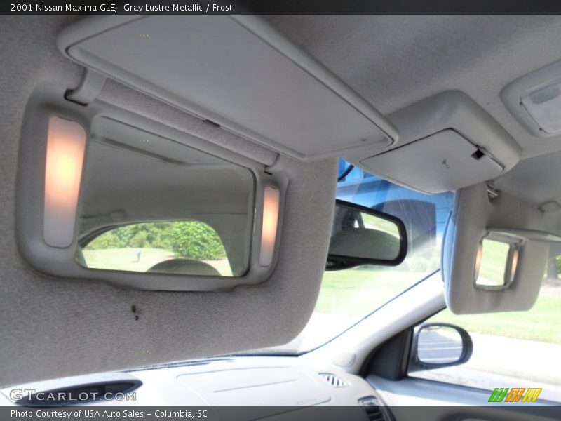 Gray Lustre Metallic / Frost 2001 Nissan Maxima GLE