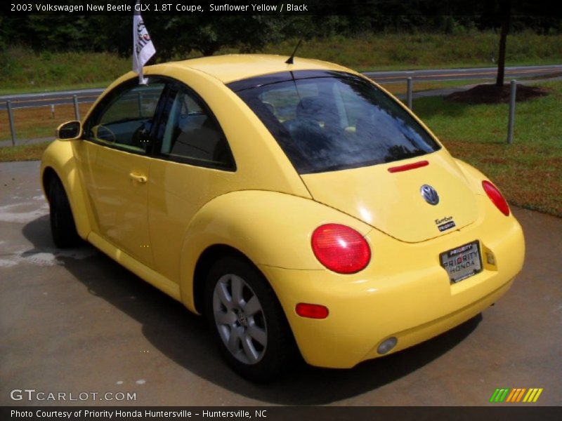 Sunflower Yellow / Black 2003 Volkswagen New Beetle GLX 1.8T Coupe