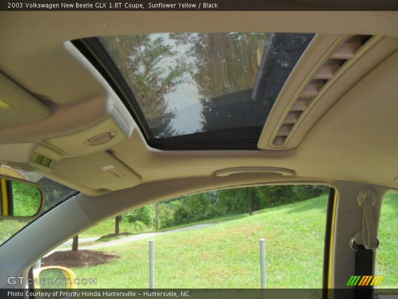 Sunflower Yellow / Black 2003 Volkswagen New Beetle GLX 1.8T Coupe