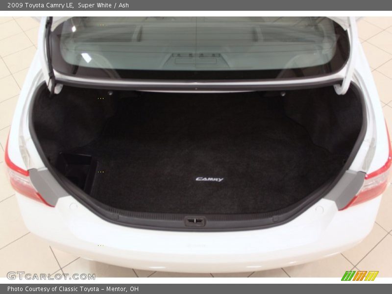 Super White / Ash 2009 Toyota Camry LE