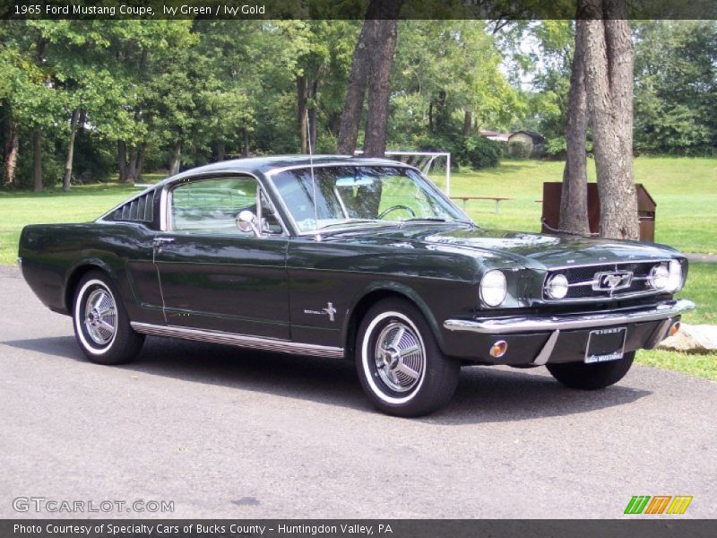 Front 3/4 View of 1965 Mustang Coupe