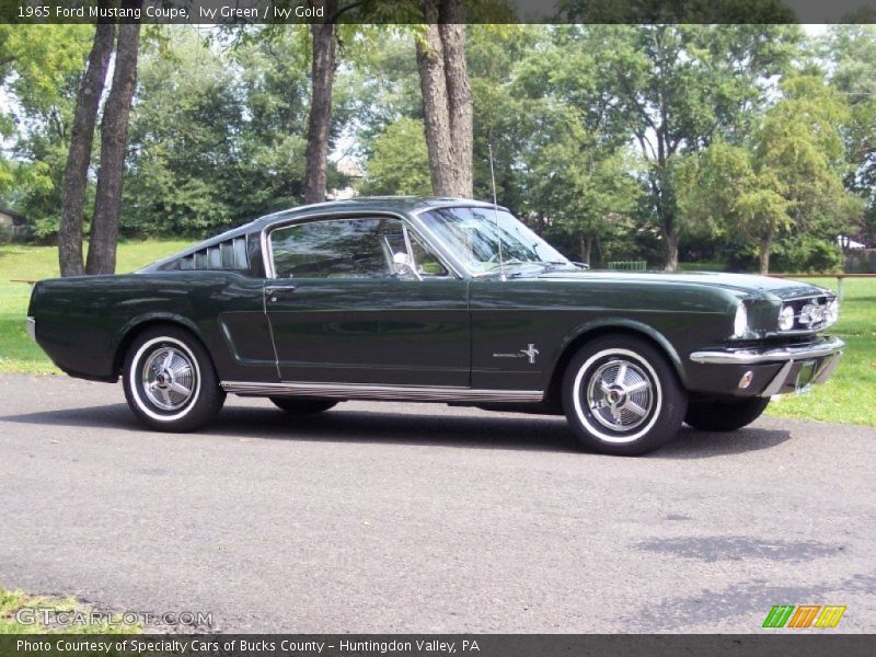  1965 Mustang Coupe Ivy Green