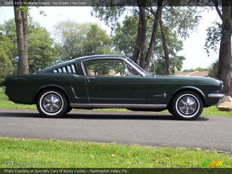  1965 Mustang Coupe Ivy Green