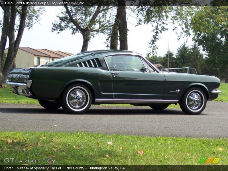 Ivy Green / Ivy Gold 1965 Ford Mustang Coupe