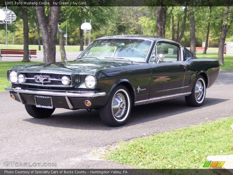 Front 3/4 View of 1965 Mustang Coupe