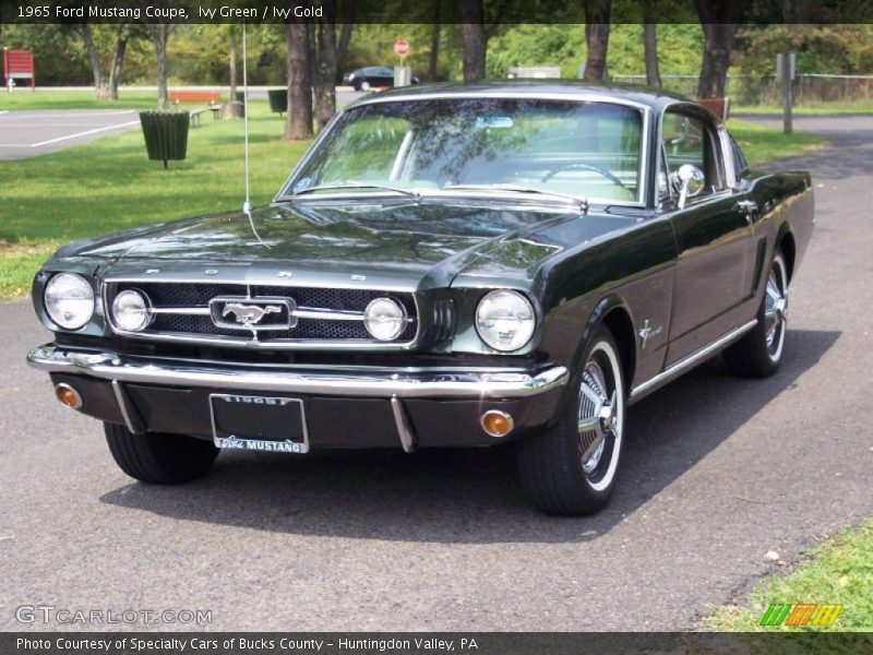  1965 Mustang Coupe Ivy Green