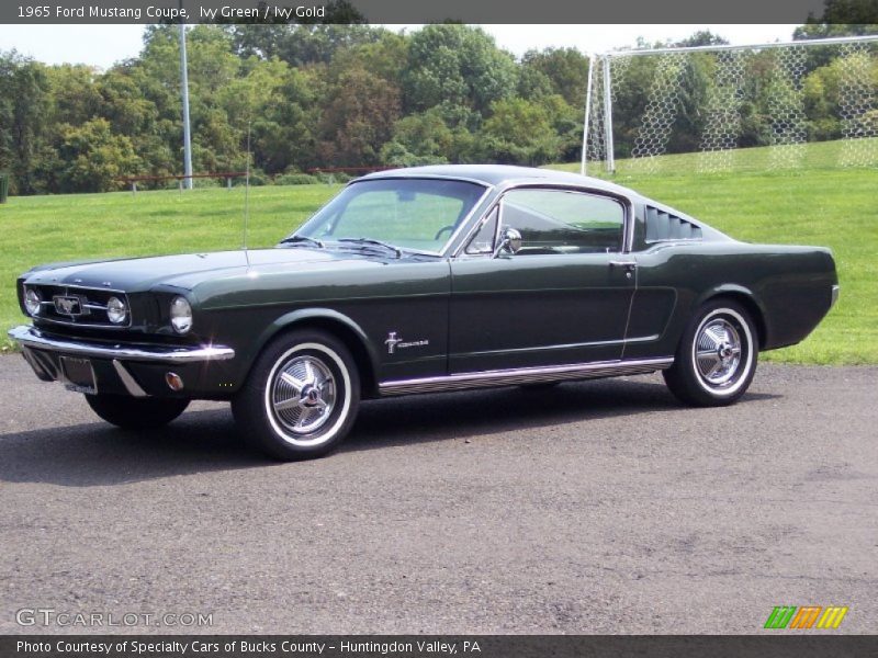 Ivy Green / Ivy Gold 1965 Ford Mustang Coupe
